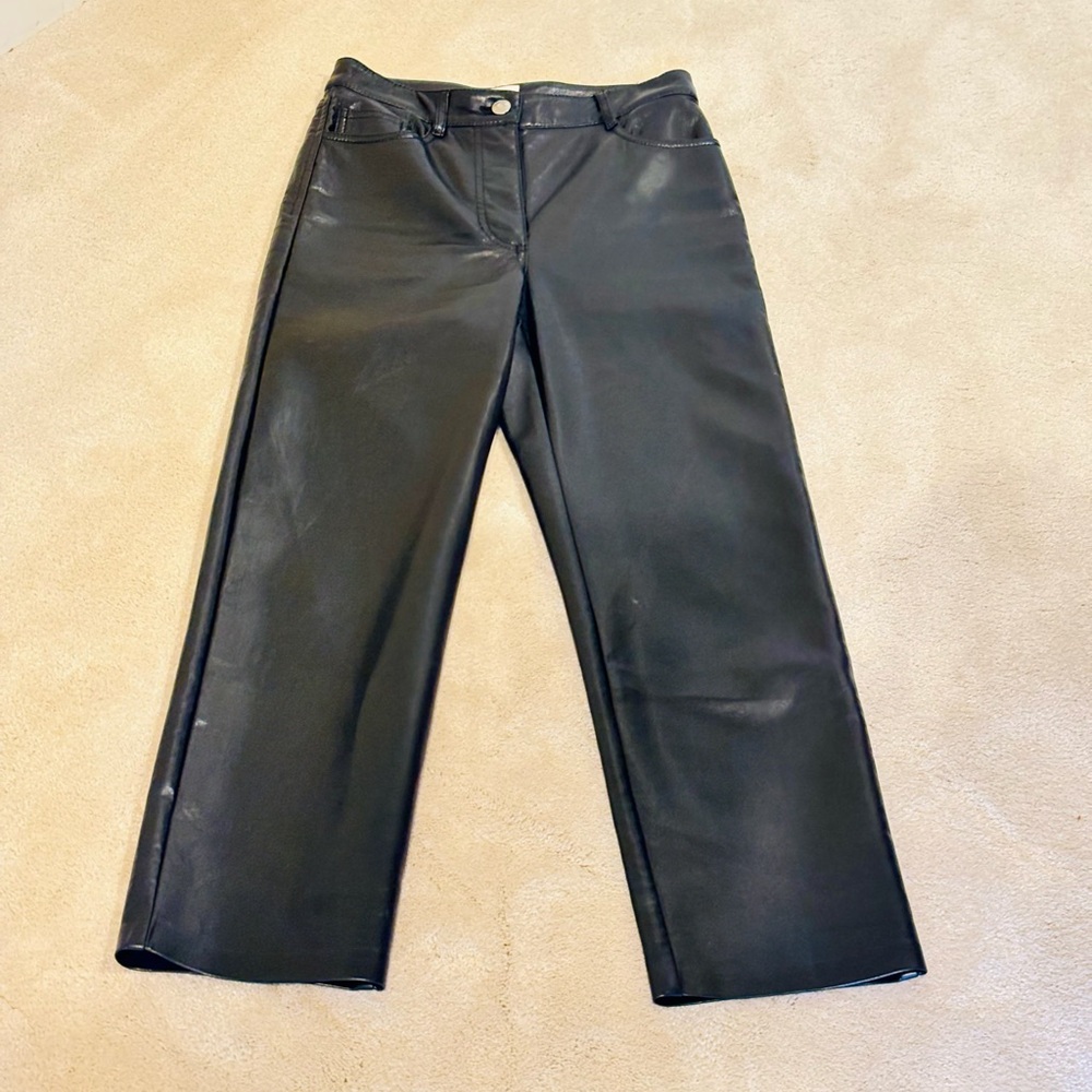 Aritzia Melina Black Leather Pants